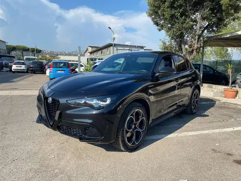 Annonce ALFA ROMEO STELVIO Diesel 2024 d'occasion 