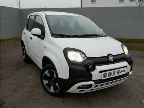 Annonce FIAT PANDA Essence 2024 d'occasion 