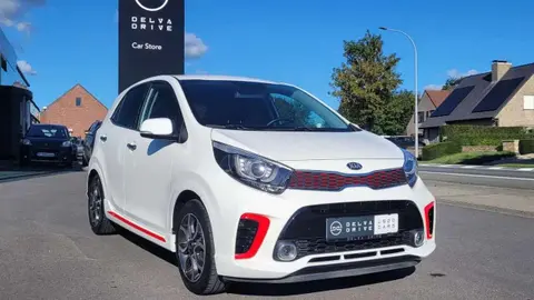 Used KIA PICANTO Petrol 2019 Ad 