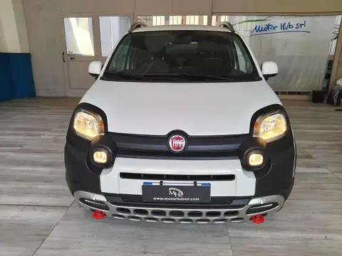 Annonce FIAT PANDA Essence 2020 d'occasion 