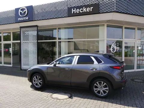 Annonce MAZDA CX-30 Essence 2024 d'occasion 