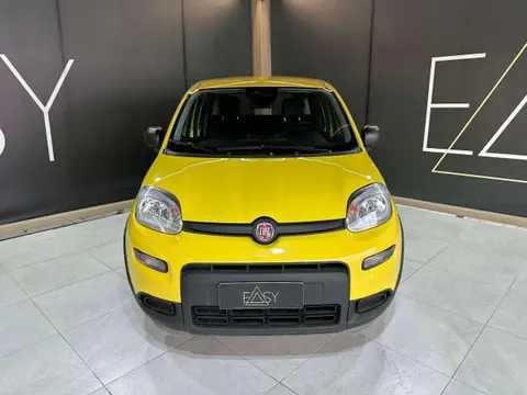 Used FIAT PANDA Hybrid 2024 Ad 