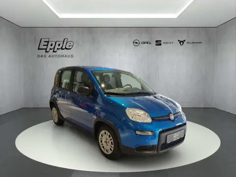 Annonce FIAT PANDA Essence 2024 d'occasion 