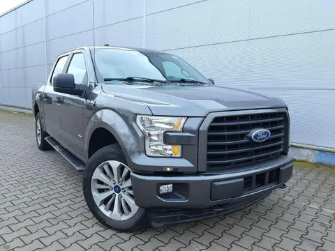 Used FORD F150 Petrol 2017 Ad 