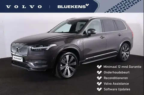 Annonce VOLVO XC90 Hybride 2023 d'occasion 