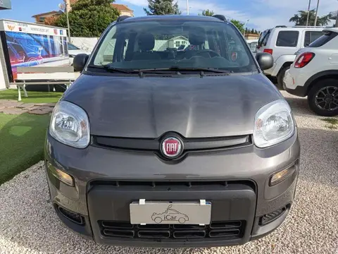 Used FIAT PANDA Hybrid 2021 Ad 