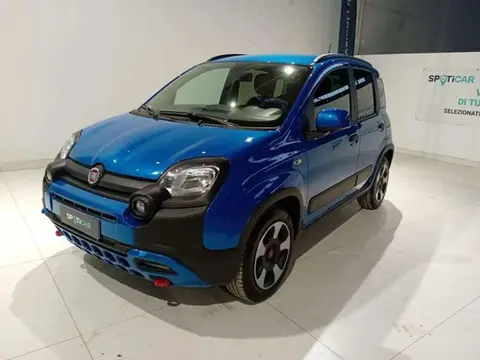 Used FIAT PANDA Hybrid 2024 Ad 