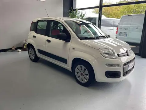 Used FIAT PANDA Petrol 2019 Ad 