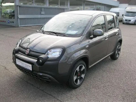 Used FIAT PANDA Petrol 2023 Ad 