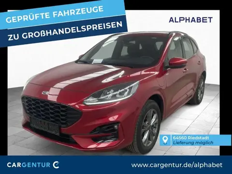 Used FORD KUGA Hybrid 2021 Ad 