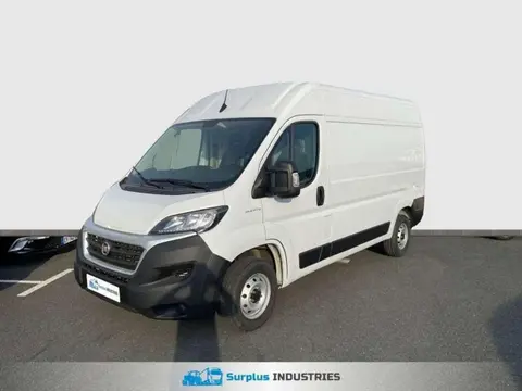 Used FIAT DUCATO Diesel 2021 Ad 