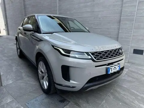 Used LAND ROVER RANGE ROVER EVOQUE Hybrid 2020 Ad 