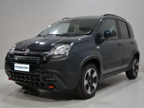 Annonce FIAT PANDA Hybride 2024 d'occasion 