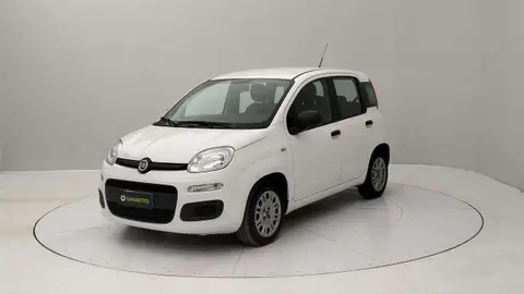 Used FIAT PANDA Hybrid 2022 Ad 