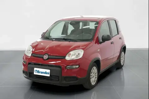 Annonce FIAT PANDA Hybride 2024 d'occasion 