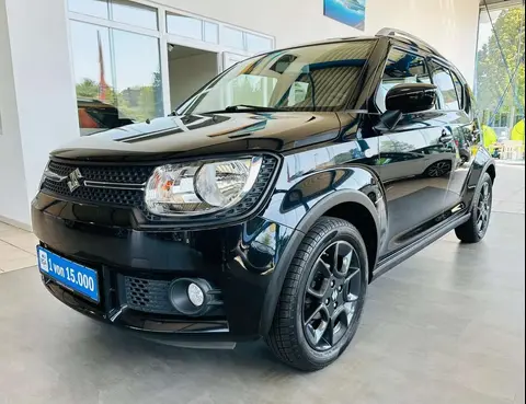 Used SUZUKI IGNIS Petrol 2017 Ad 