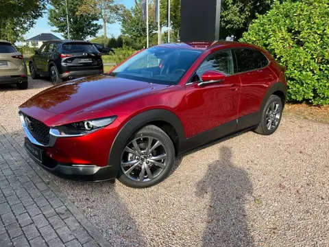 Annonce MAZDA CX-30 Essence 2024 d'occasion 