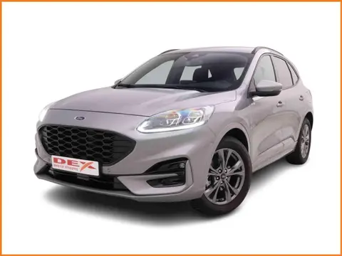 Annonce FORD KUGA Essence 2024 d'occasion 