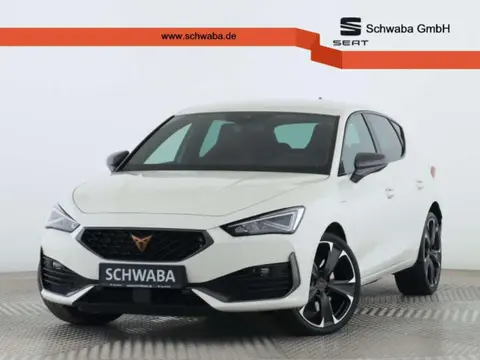 Annonce CUPRA LEON Hybride 2021 d'occasion 