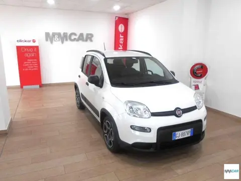 Annonce FIAT PANDA Hybride 2022 d'occasion 