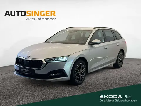 Annonce SKODA OCTAVIA Essence 2023 d'occasion 