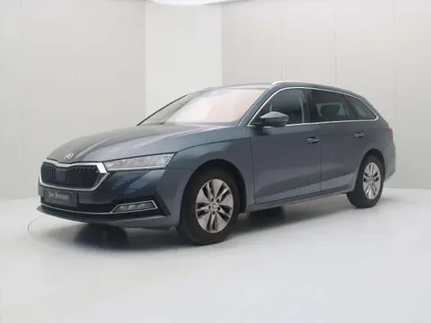 Used SKODA OCTAVIA Petrol 2020 Ad 