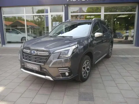 Annonce SUBARU FORESTER Hybride 2024 d'occasion 