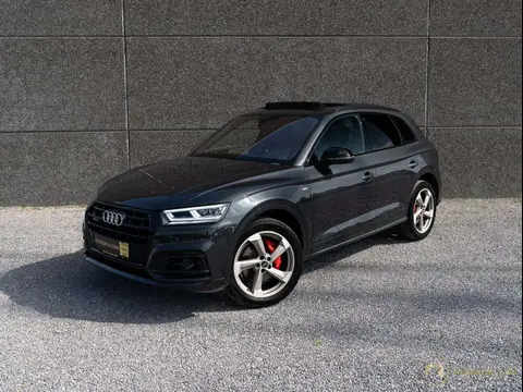 Used AUDI Q5 Petrol 2019 Ad 