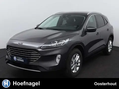 Annonce FORD KUGA Hybride 2023 d'occasion 