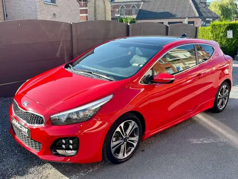 Annonce KIA PROCEED Diesel 2019 d'occasion 