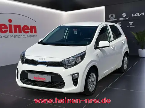 Annonce KIA PICANTO Essence 2024 d'occasion 