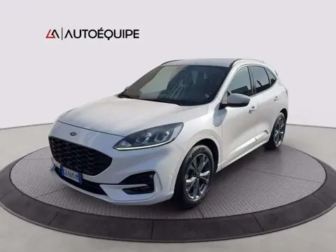 Annonce FORD KUGA Diesel 2021 d'occasion 