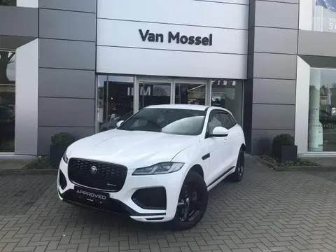 Used JAGUAR F-PACE Hybrid 2022 Ad 