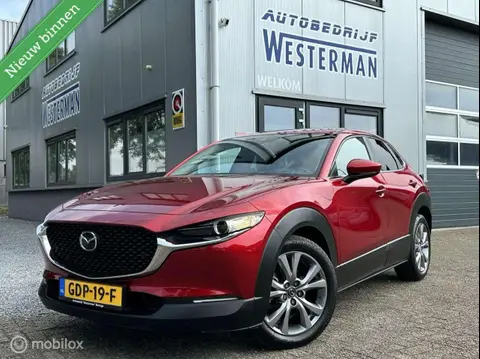 Used MAZDA CX-30 Petrol 2020 Ad 