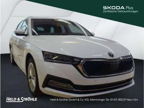 Used SKODA OCTAVIA Petrol 2024 Ad 