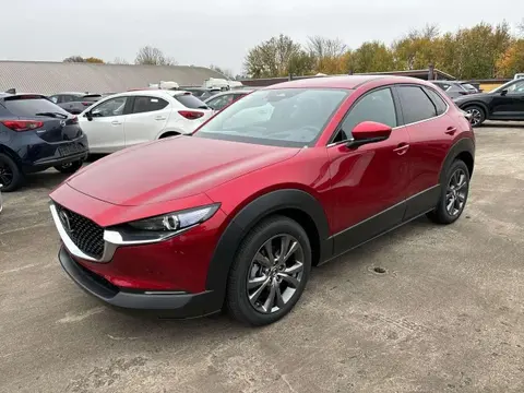 Used MAZDA CX-30 Hybrid 2024 Ad 