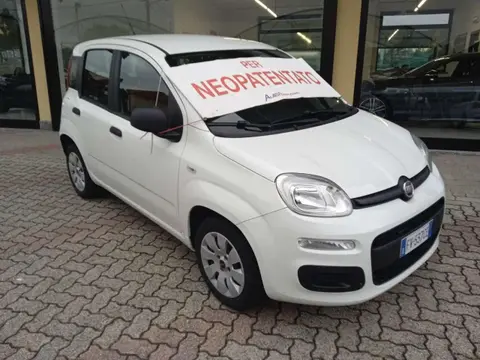 Annonce FIAT PANDA Essence 2019 d'occasion 