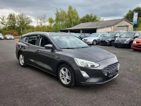 Annonce FORD FOCUS Diesel 2019 d'occasion 