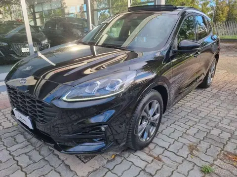 Used FORD KUGA Hybrid 2023 Ad 