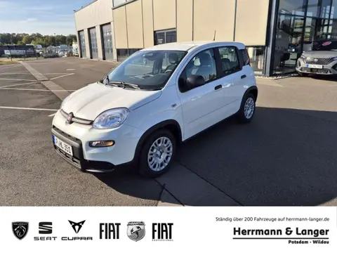 Annonce FIAT PANDA Essence 2024 d'occasion 