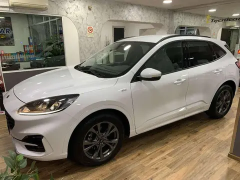 Annonce FORD KUGA Hybride 2022 d'occasion 