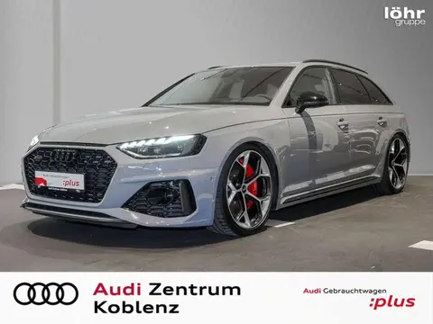 Used AUDI RS4 Petrol 2023 Ad 