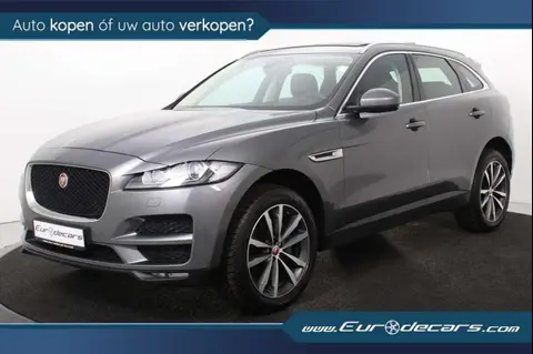 Annonce JAGUAR F-PACE Essence 2019 d'occasion 