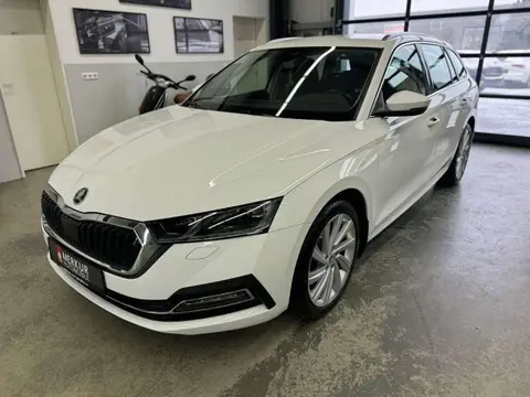 Annonce SKODA OCTAVIA Diesel 2022 d'occasion 