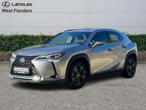 Used LEXUS UX Hybrid 2021 Ad 