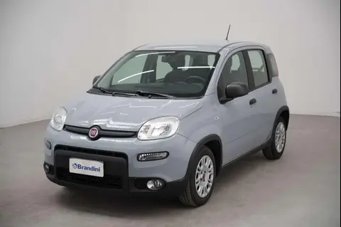 Annonce FIAT PANDA Hybride 2022 d'occasion 