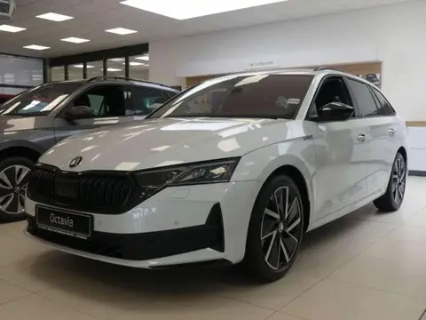 Annonce SKODA OCTAVIA Essence 2024 d'occasion 