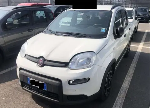 Annonce FIAT PANDA Essence 2022 d'occasion 