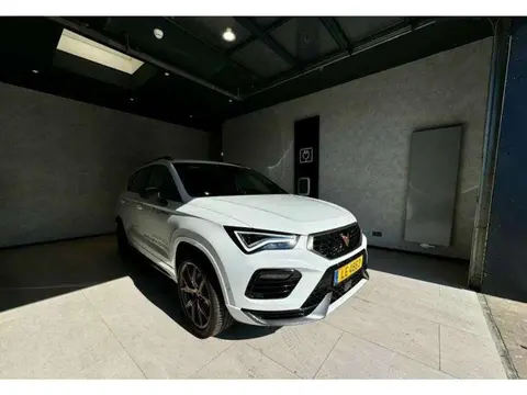 Annonce CUPRA ATECA Essence 2024 d'occasion 