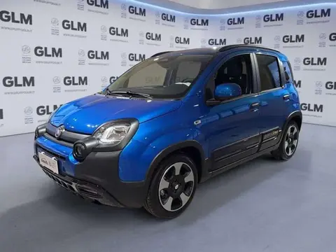 Used FIAT PANDA Hybrid 2024 Ad 